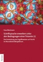 bokomslag Schriftspracherwerb unter den Bedingungen einer Trisomie 21