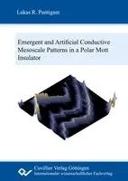 Lukas Raimund Puntigam - Emergent and artificial conductive mesoscale patterns in a polar Mott insulator, Inbunden. Tillgänglighet: Lägg i varukorg