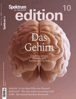 Spektrum der Wissenschaft - Spektrum edition Nr. 10 - Das Gehirn, Häftad. Tillgänglighet: Lägg i varukorg