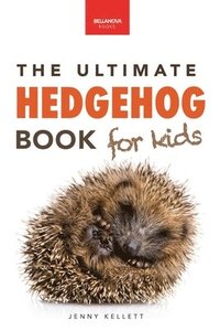 bokomslag Hedgehogs