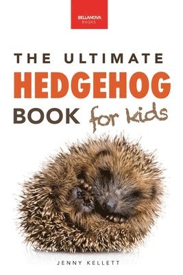 bokomslag Hedgehogs