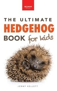 bokomslag Hedgehogs The Ultimate Hedgehog Book for Kids