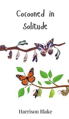 Cocooned in Solitude 1