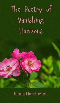 The Poetry of Vanishing Horizons 1