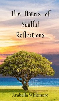 bokomslag Matrix of Soulful Reflections