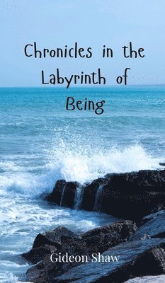 bokomslag Chronicles in the Labyrinth of Being