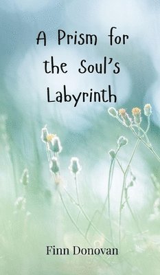 A Prism for the Soul's Labyrinth 1