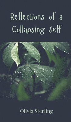 Reflections of a Collapsing Self 1