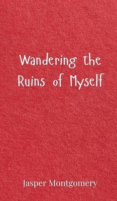 Wandering the Ruins of Myself 1