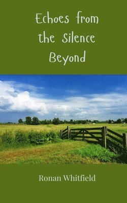 Echoes from the Silence Beyond 1