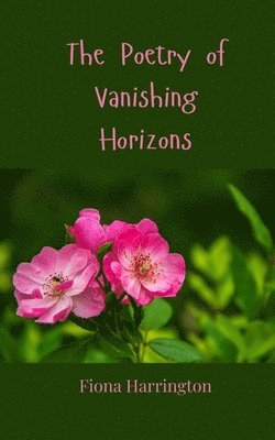 The Poetry of Vanishing Horizons 1