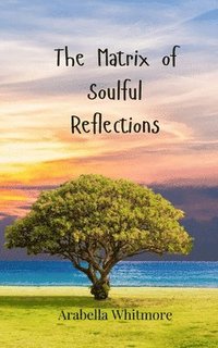 bokomslag Matrix of Soulful Reflections