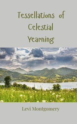 Levi Montgomery - Tessellations of Celestial Yearning, Häftad