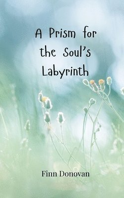 A Prism for the Soul's Labyrinth 1