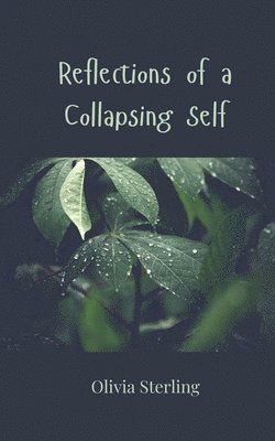 Reflections of a Collapsing Self 1