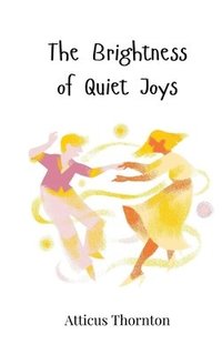 bokomslag Brightness of Quiet Joys