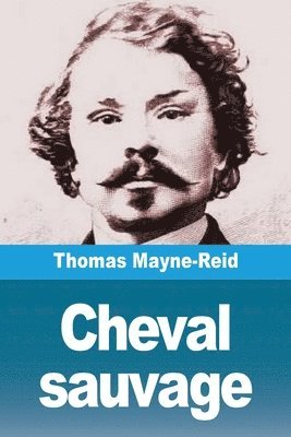 bokomslag Cheval sauvage