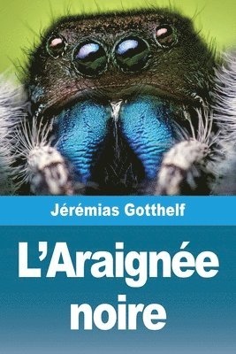 bokomslag L'Araignée noire
