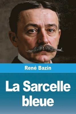 Sarcelle bleue