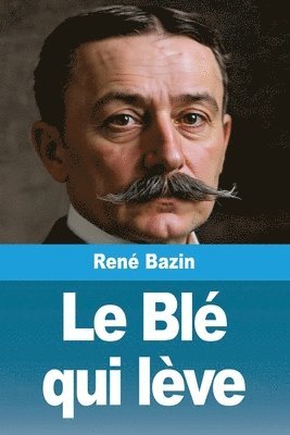 Blé qui lève