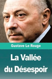 bokomslag Vallée du Désespoir