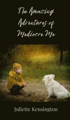 The Amazing Adventures of Mediocre Me 1