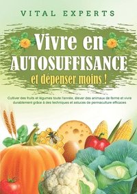 bokomslag Vivre en AUTOSUFFISANCE et dépenser moins !