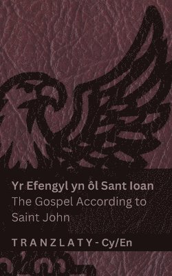Yr Efengyl yn ôl Sant Ioan / The Gospel According to Saint John (Y Beibl / The Bible)