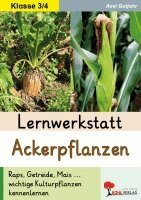 Axel Gutjahr - Lernwerkstatt Ackerpflanzen, Häftad