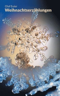 Olaf Euler - Weihnachtserzählungen, Häftad