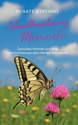 Schwalbenschwanz Momente