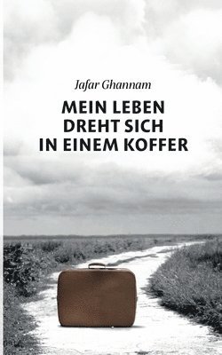 Jafar Ghannam - Mein Leben dreht sich in einem Koffer, Häftad
