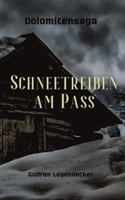 Schneetreiben am Pass