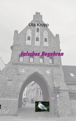 Falsches Begehren