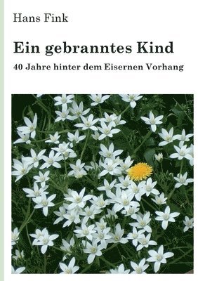 Hans Fink - gebranntes Kind, Häftad
