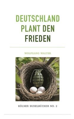 Wolfgang Walter - Deutschland plant den Frieden, Häftad