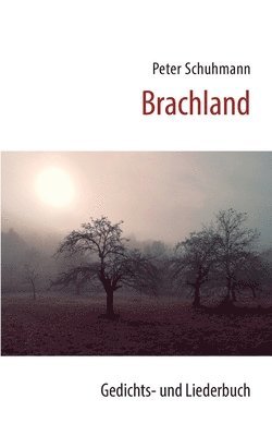 Peter Schuhmann - Brachland, Häftad