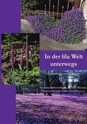 Susanne Schwertfeger, Kerstin Werner, Thomas Steiner - In der lila Welt unterwegs, Häftad