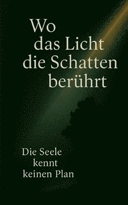 Jan Schmiedel - Wo das Licht die Schatten berührt: Die Seele kennt keinen Plan, Häftad