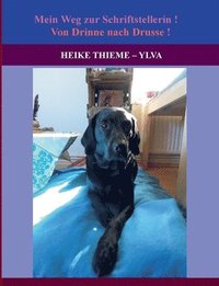 bokomslag Von Drinne nach Drusse !