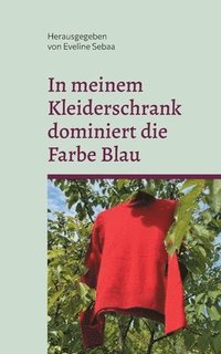 bokomslag In meinem Kleiderschrank dominiert die Farbe Blau