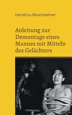 bokomslag Anleitung zur Demontage eines Mannes mit Mitteln des Gelächters: Aus dem Leben der Domina Lalutschka
