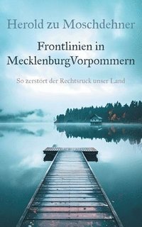 bokomslag Frontlinien in MecklenburgVorpommern