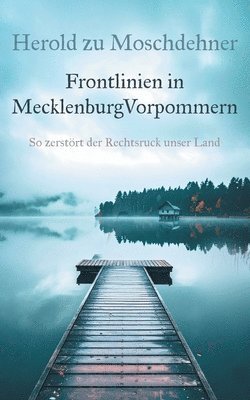 bokomslag Frontlinien in MecklenburgVorpommern