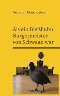 bokomslag Als ein Bleßhuhn Bürgermeister von Schwaan war