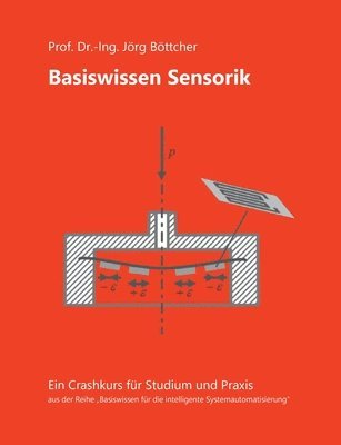 Jörg Böttcher - Basiswissen Sensorik, Häftad