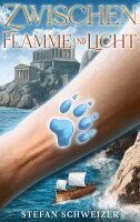 Stefan Schweizer - Zwischen Flamme und Licht, Häftad