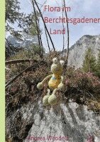 Andrea Wendeln - Flora im Berchtesgadener Land, Häftad