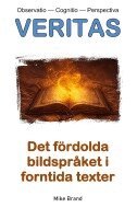 Mike Brand - Det fördolda bildspråket i forntida texter, Häftad