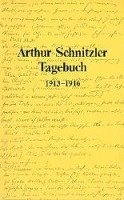 Arthur Schnitzler, Werner Welzig - Tagebuch 1879-1931: 1913-1916, Häftad